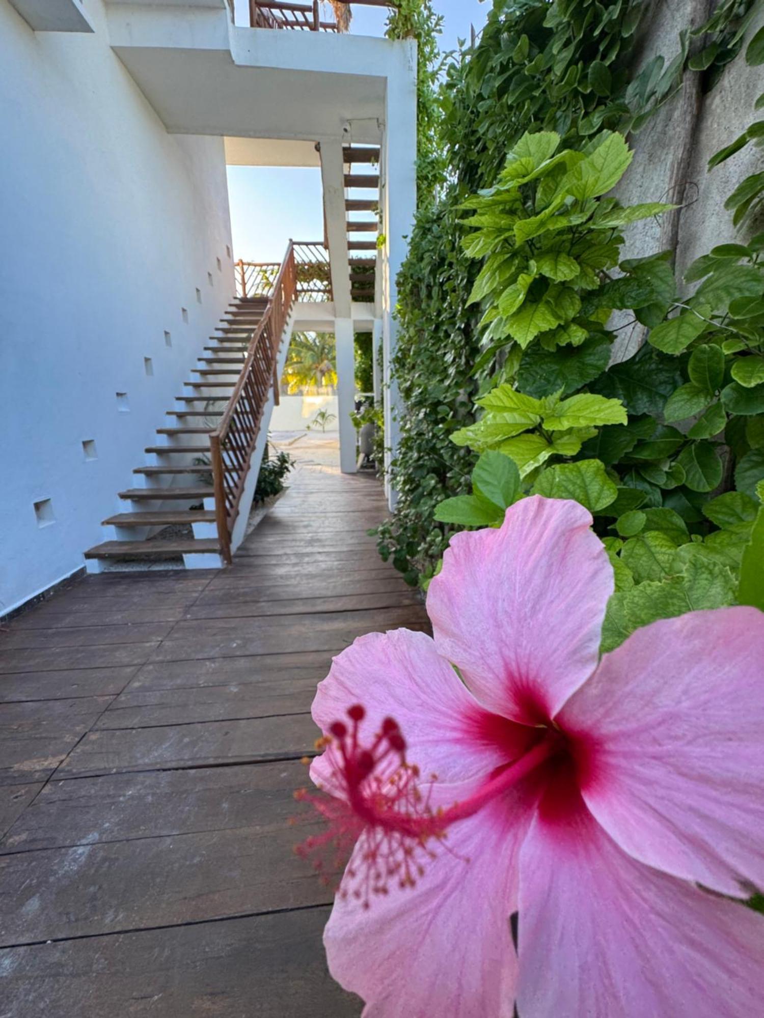 Mexhe Hotel El Cuyo Εξωτερικό φωτογραφία