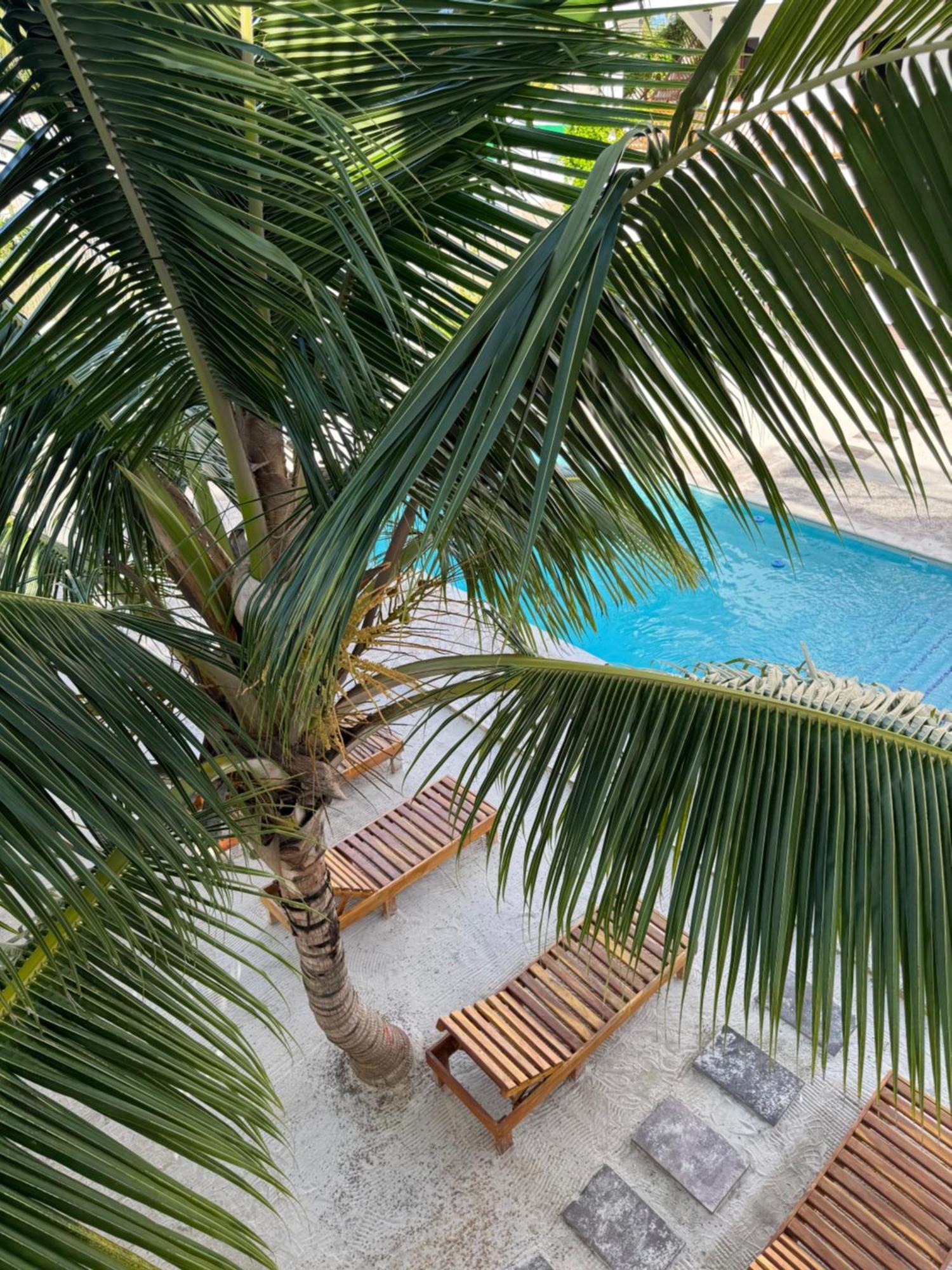 Mexhe Hotel El Cuyo Εξωτερικό φωτογραφία